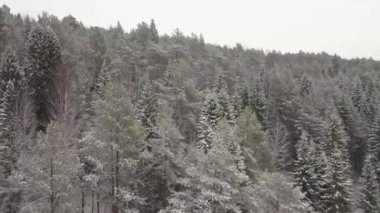 Anteni: karlı orman ve tepeler üzerinde uçan.