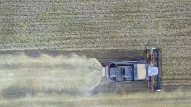 Birleştirme hasat hava görünümünü. Kolza tohumu alan hasat. Endüstriyel Tarım tema arka plan. Biyoyakıt Çek kırsal üzerinden. Tarım ve çevre Avrupa Birliği'ndeki.