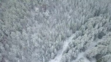 Anteni: karlı orman ve tepeler üzerinde uçan.