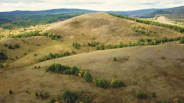 Aerial Drone Footage View: Flying over spring mountains, hills and meadows with pine forests in sun soft light. Fly out. Carpathian Mountains, Romania, Europe. Beautiful landscape. — Stock Video