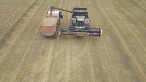 Le moissonneur déchargera le grain dans le camion 