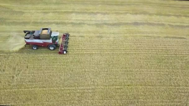 Tracteur travaillant dans les Champs, Agriculture, Vue Aérienne 