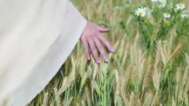 Ülke, doğa, yaz tatilleri, tarım ve insan konsepti - mısır gevreği tarlasında çivilere dokunan genç bayanların yakın konsepti