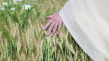 Buğday alanında bir gün batımı ışık dokunmadan el