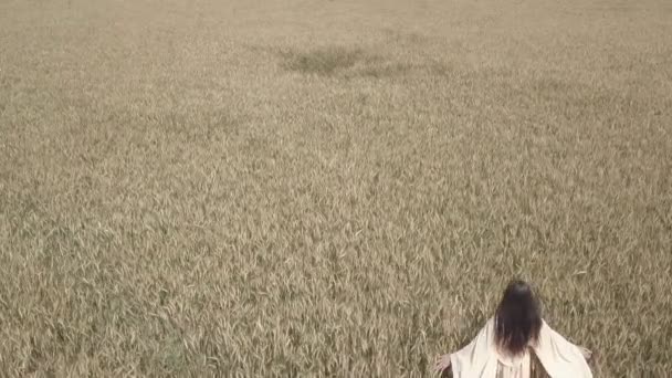 Вид сзади на молодую женщину, идущую по пшеничному полю, трогающую пшеницу.. вспышка света, закат, летний сезон. Вид на дрон — стоковое видео