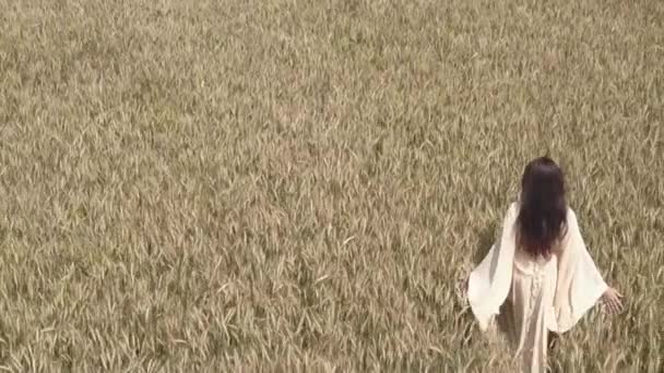 Eine Frau geht in einem weißen Kleid über das Weizenfeld und führt ihre Hand entlang der Spitzen der Weizenwürze — Stockvideo
