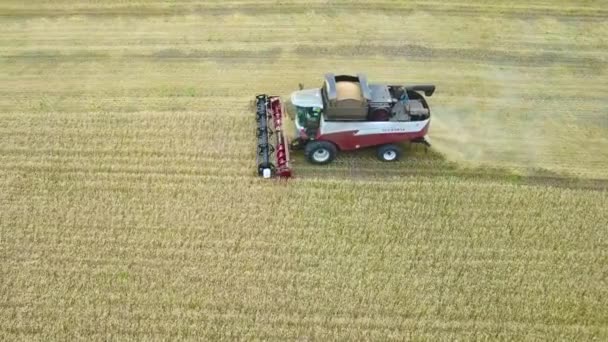 La cosechadora grande se prepara para descargar el grano porque un contenedor de la cosechadora está lleno de grano. Vista aérea. Volando sobre el campo de trigo dorado . — Vídeos de Stock
