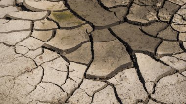 Beyaz kurumuş ve çatlamış toprak arka planı, kuru çatlak zemini, çatlak yüzeyi, beyaz çatlamış dokuyu tasarımcılar için kapatın.