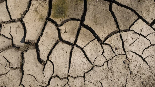 Cracked soil ground. Cracked soil texture or background. Natural abstraction. Ground background. Cracks on the ground