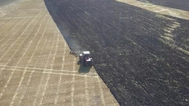 Aerial view of a drone flying around a tractor processing a field. harvest concept — Stock Video