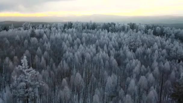 Smooth Aerial head over winter cinematic drone shot of norwegian forest in Oslo at sunset. Flying camera 4K footage. — Stock Video