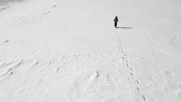Homem solitário a caminhar no deserto nevado do Árctico. Vista de cima. Solidão e superação . — Vídeo de Stock