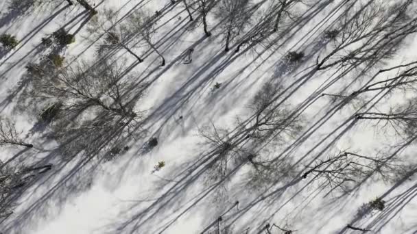 Inverno paisagem florestal e pôr do sol, neve árvores de inverno, bela natureza, vista aérea — Vídeo de Stock
