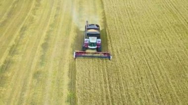 Hasat ayçiçeği birleştirin. Gün boyunca. Hava ateş. Sonbaharda.