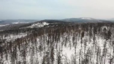 Havadan görünümü karlı ormanda orman ve tepeler. Bulutlu kötü sisli Hava bulutlu. drone uçuş