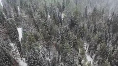 karlı orman ve tepelere havadan görünümü. Bulutlu kötü bulutlu sisli hava. kış ormanı üzerinde drone uçuş