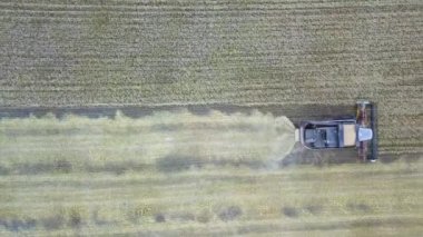 Birleştirme hasat hava görünümünü. Kolza tohumu alan hasat. Endüstriyel Tarım tema arka plan. Biyoyakıt Çek kırsal üzerinden. Tarım ve çevre Avrupa Birliği'ndeki.