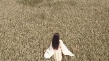 Anteni - köprü sarı buğday alanında yürüyüş beyaz elbiseli Genç kadın