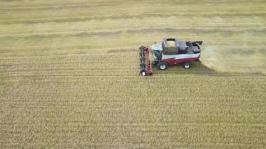 Biçerdöverler ayçiçeği hasat. Bir gün. Hava ateş.