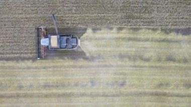 Birleştirme hasat hava görünümünü. Kolza tohumu alan hasat. Endüstriyel Tarım tema arka plan. Biyoyakıt Çek kırsal üzerinden. Tarım ve çevre Avrupa Birliği'ndeki.