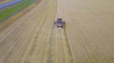Buğday alan çalışma hasat hasat makinesi. Altın olgun buğday alan hasat hasat Tarım makineleri birleştirin. Tarım. Havadan görünümü