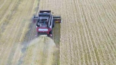 Büyük buğday tarlasında çalışan traktörlerin ve kombinasyonların hava görüntüsü