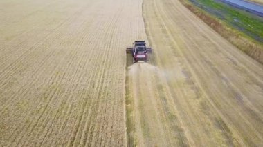 Biçerdöverler ayçiçeği gündüz hasat. Hava ateş.