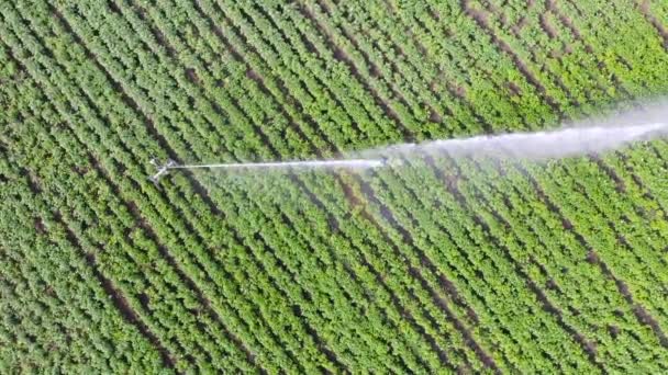 Vista superior dos aspersores de irrigação no tiro aéreo de campo . — Vídeo de Stock