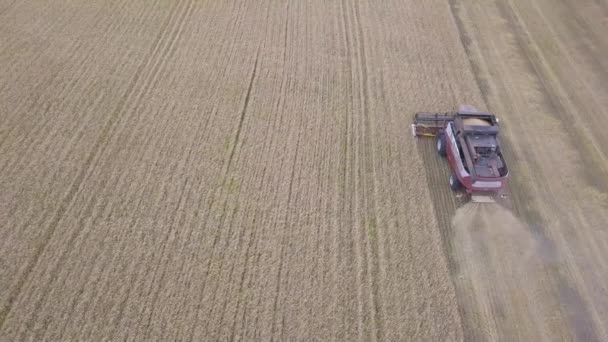 Vista aérea de la cosechadora en campo de cosecha . — Vídeos de Stock