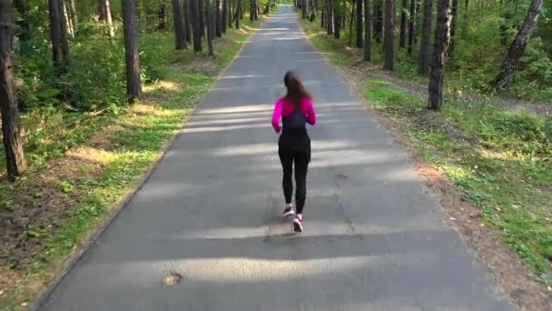 Woman runs through the forest. Healthy lifestyle concept — Stock Video