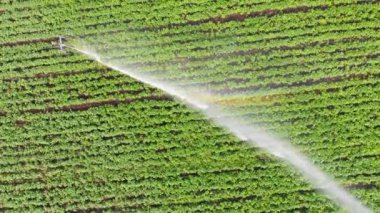 Tarım konsepti. Hava - otomatik sulama sistemi.