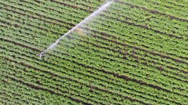 Sulama alanının üst hava görüntüsü.