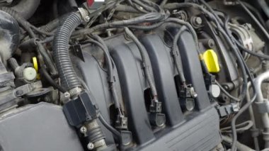 Dikey video. Yağ seviyesindeki araba motorlarını kontrol eden adam..