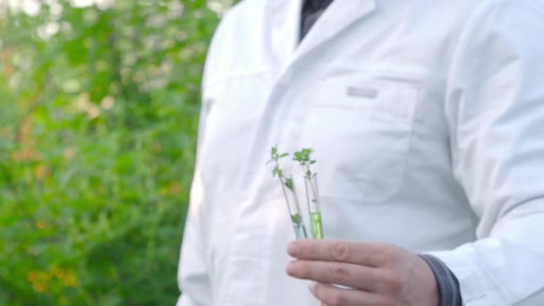 Onderzoeker toont reageerbuizen met groene spruiten. — Stockvideo