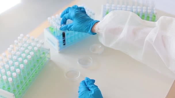 Close up view of a doctor in a white protective gloves looking on a blood sample in a test tube. — Stock Video