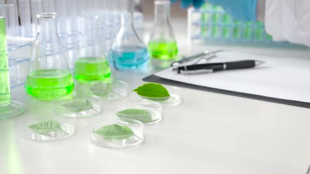 Fechar - uma luva pesquisadores mãos gotejamento uma preparação genética em folhas verdes em placas de Petri . — Vídeo de Stock