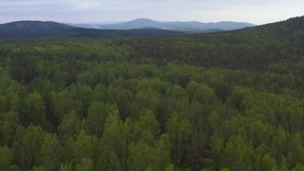 Drohnenflug über grünen Wald und Hügel im Hintergrund. — Stockvideo