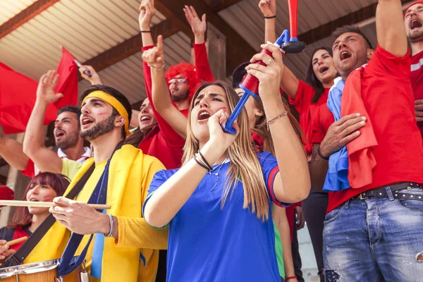 bir stadyum standları bir spor olayı izlerken çeşitli renklerde giyinmiş hayranları grup