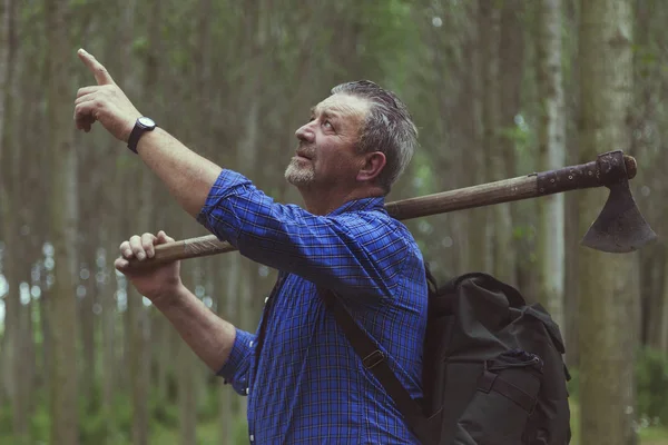 Lenhador Experiente Visitar Uma Floresta Antes Cortar Algumas Árvores — Fotografia de Stock