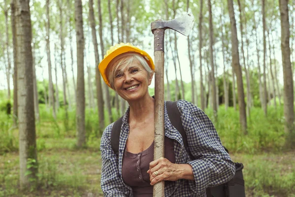 Míg Látogató Erdő Előtt Vágás Néhány Fák Tapasztalt Női Favágó — Stock Fotó