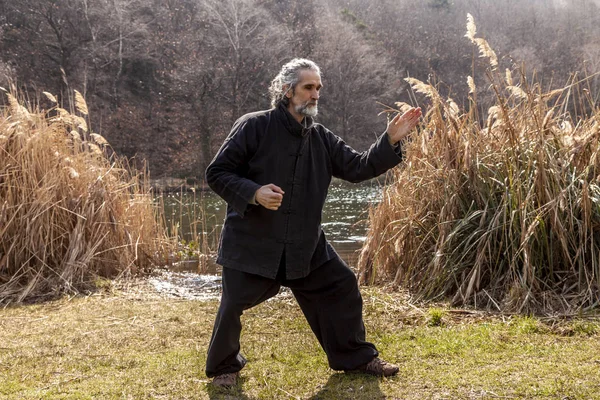 Homem Maduro Praticando Disciplina Tai Chi Livre Parque Lago Dia — Fotografia de Stock