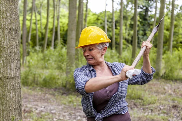 Zkušené Ženy Dřevorubec Akci Při Řezání Strom Lese — Stock fotografie