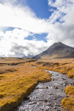 Yaz aylarında İzlanda flora Panoraması. arka planda bir volkan