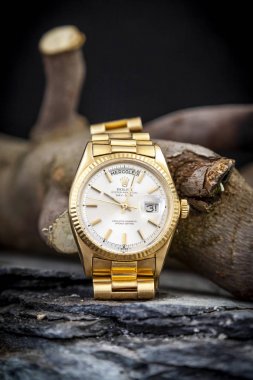 Ahşap dalda Rolex Oyster Perpetual Day-Date saati