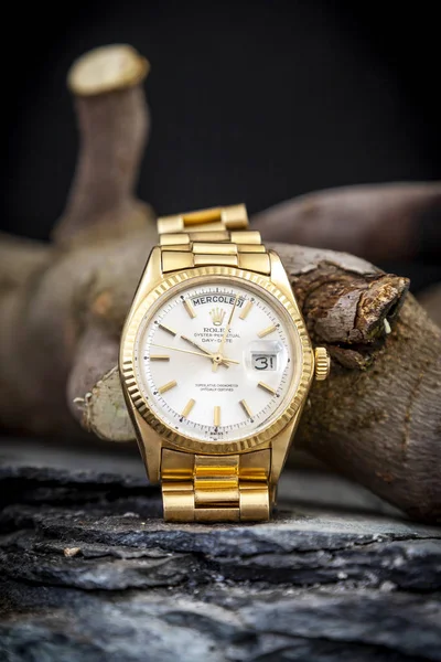 Rolex Auster ewige Tag-Datum-Uhr auf hölzernen Zweig — Stockfoto