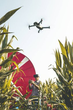 flyi ile mısır büyümesini analiz modern teknolojik çiftçi