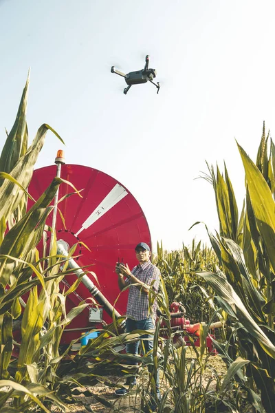 Moderne technologische Landwirt Analyse des Wachstums von Mais durch flyi — Stockfoto