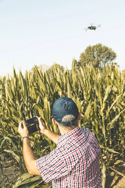 Agricultor tecnológico moderno analizando el crecimiento del maíz por flyi — Foto de Stock