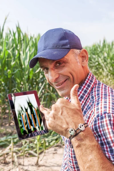 Agricultor tecnológico moderno comprobar los datos de crecimiento del maíz en — Foto de Stock