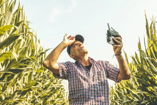 Agricultor tecnológico moderno analizando el crecimiento del maíz por flyi — Foto de Stock